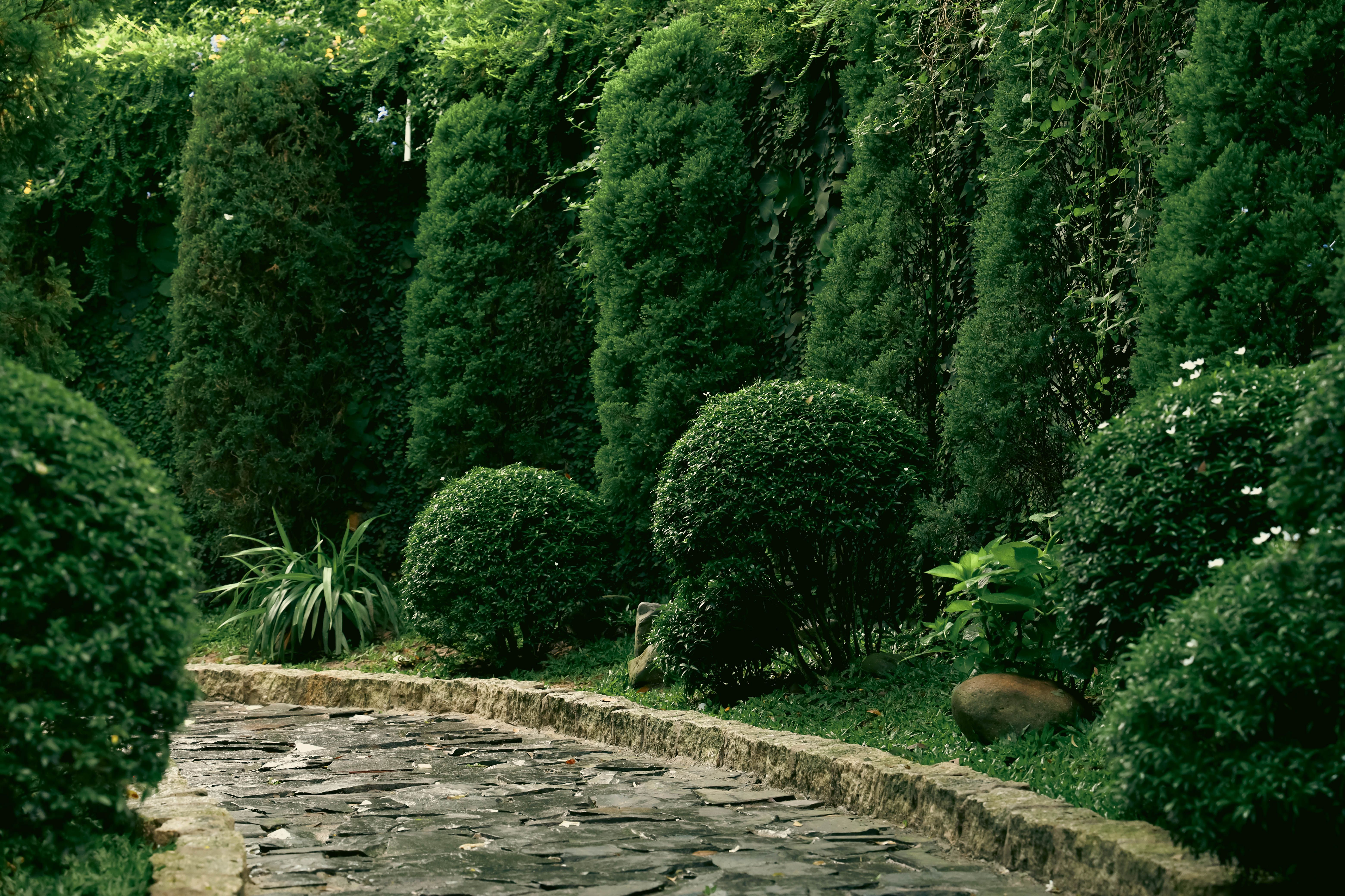 Tree and shrub services in Edmonton