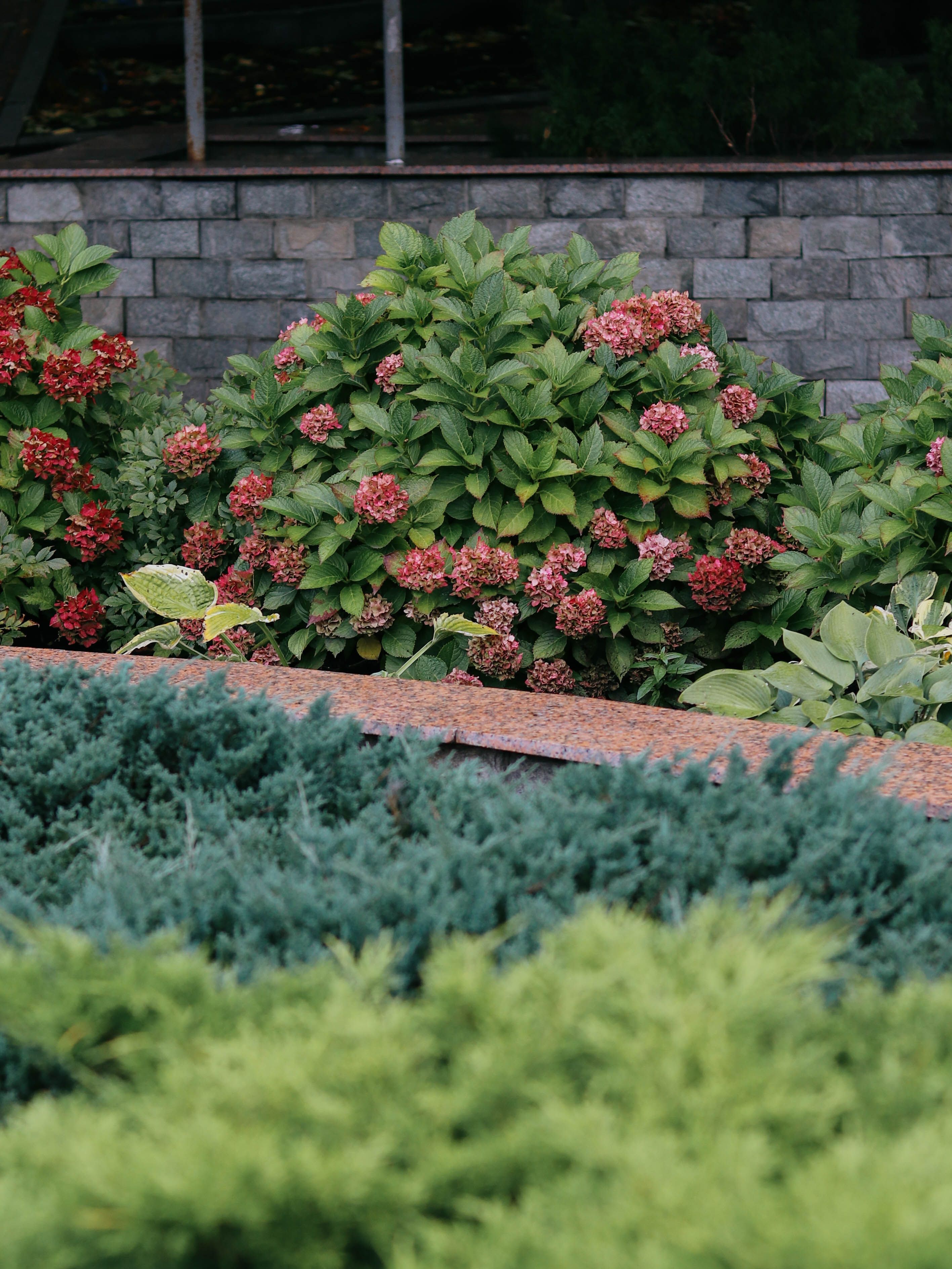 Colorful garden beds with perennials and shrubs in Edmonton